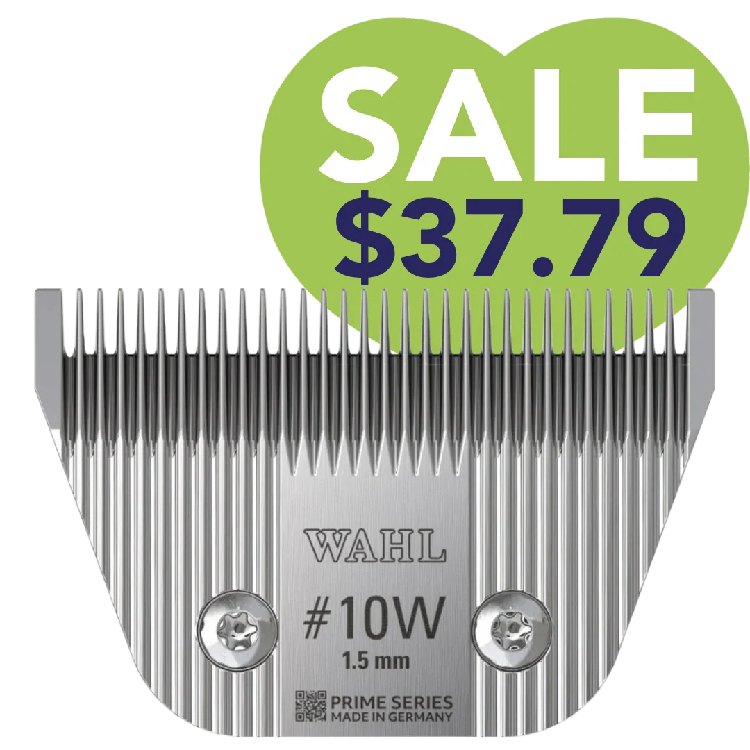 Top Deals